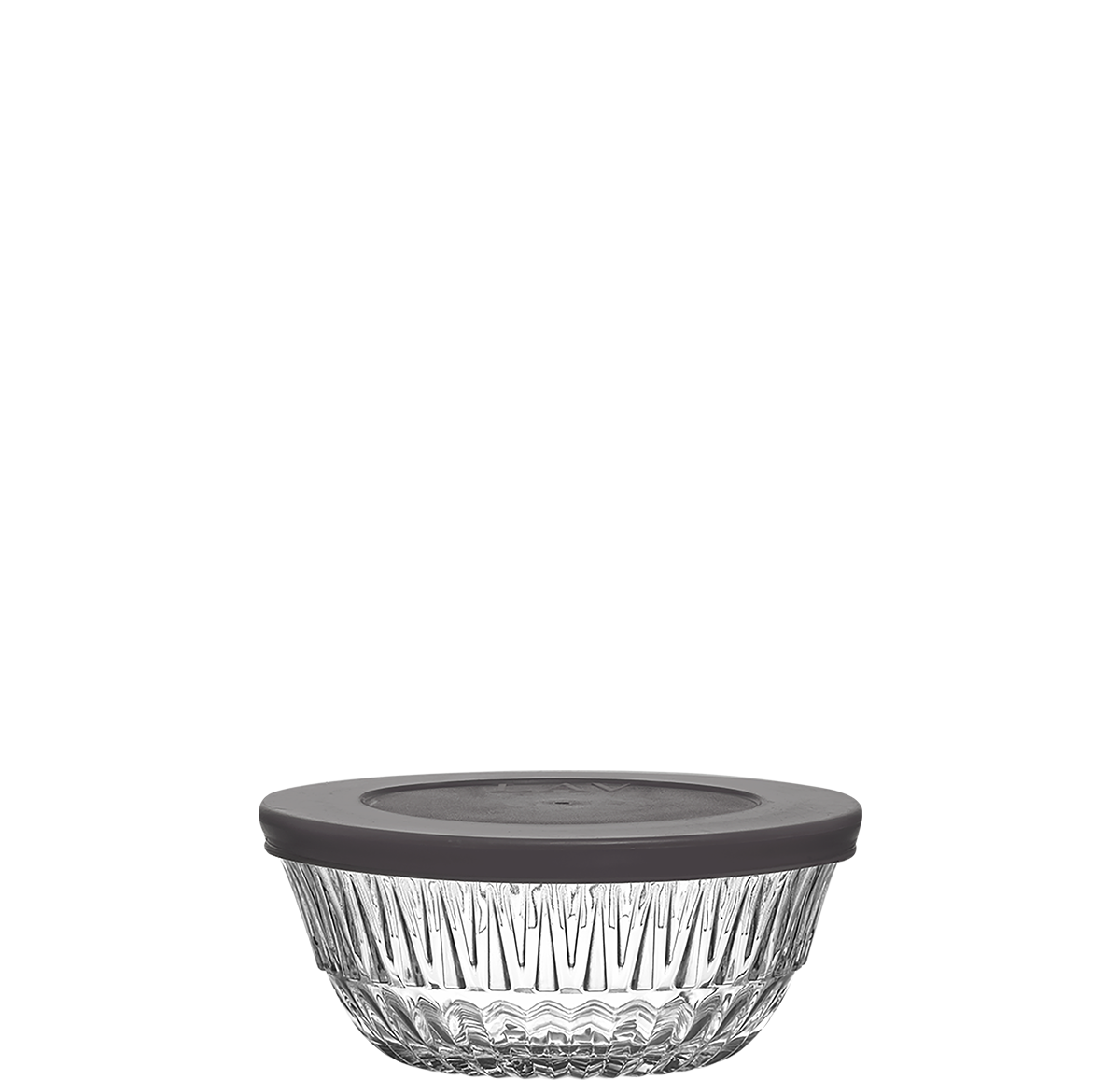 Arizona Food Container with Lid